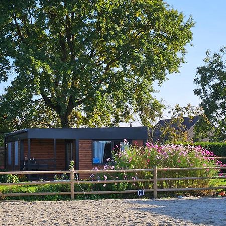 Houten Huisje Tussen Paarden Nieuwerkerken 외부 사진