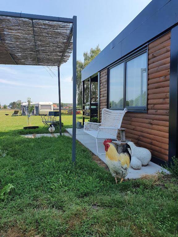 Houten Huisje Tussen Paarden Nieuwerkerken 외부 사진