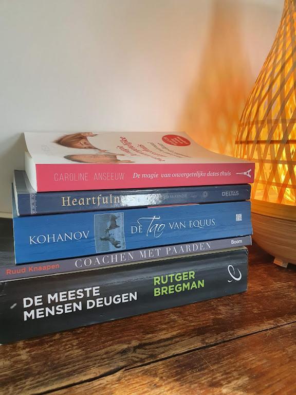 Houten Huisje Tussen Paarden Nieuwerkerken 외부 사진