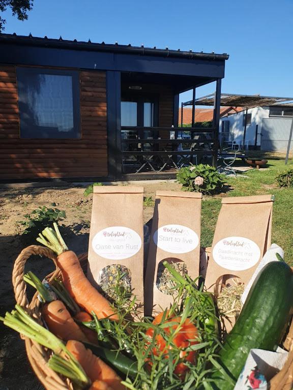 Houten Huisje Tussen Paarden Nieuwerkerken 외부 사진