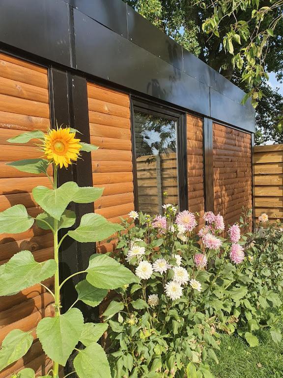 Houten Huisje Tussen Paarden Nieuwerkerken 외부 사진
