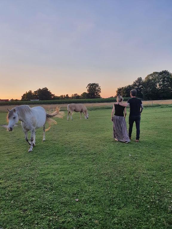 Houten Huisje Tussen Paarden Nieuwerkerken 외부 사진