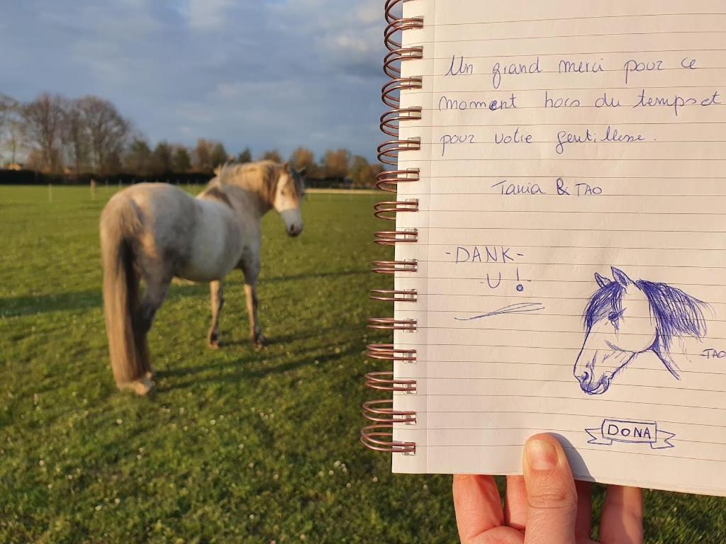 Houten Huisje Tussen Paarden Nieuwerkerken 외부 사진