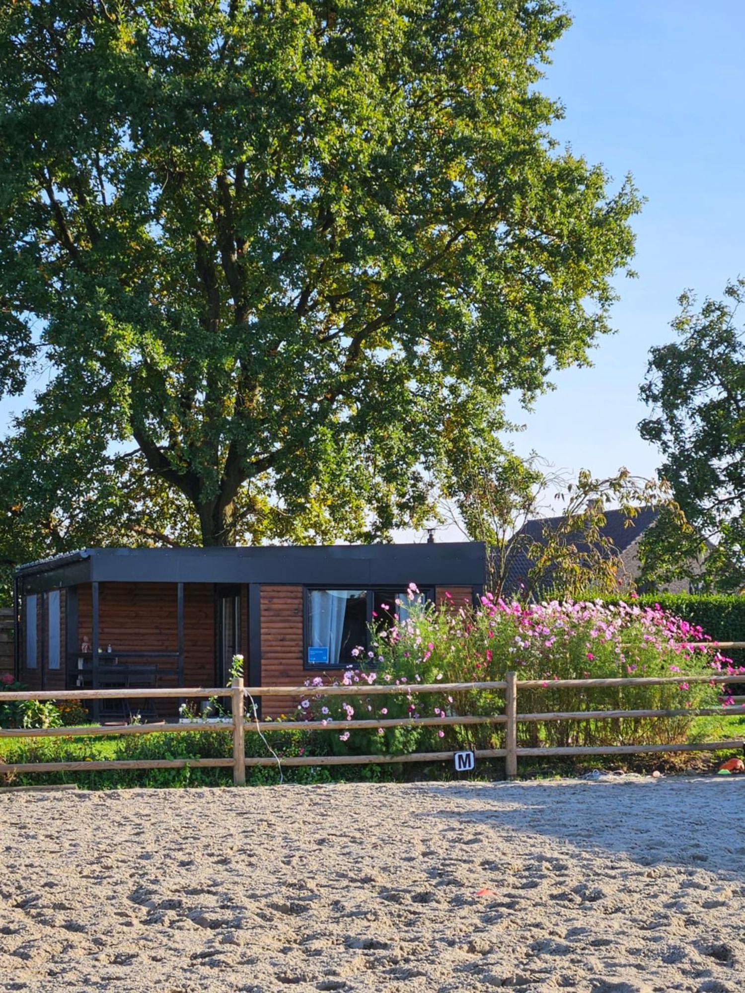 Houten Huisje Tussen Paarden Nieuwerkerken 외부 사진